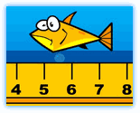 fish measures