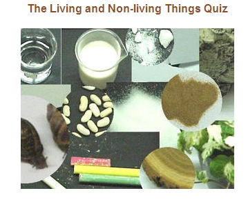 Living Non-Living Things Quiz