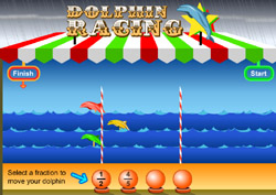 Dolphin Race