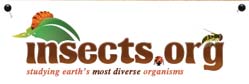 Insects.org