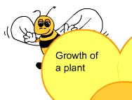 Learn about Plants